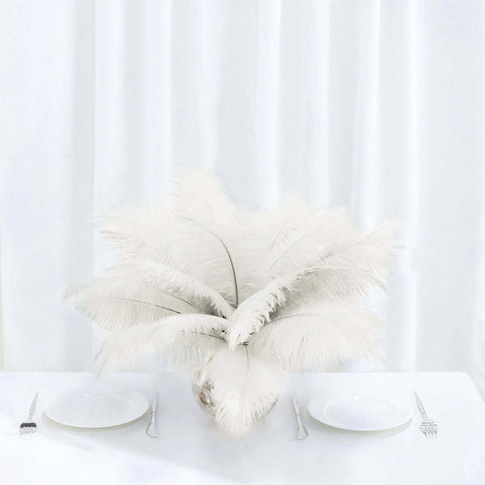 12 Pack 13" - 15" Ivory Natural Plume Real Ostrich Feathers, DIY Centerpiece Fillers - NestOCart
