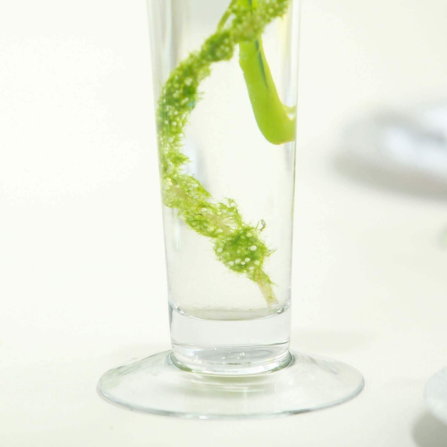 6 - Pack Glass Trumpet Vases Clear - Durable Design for Chic Event Displays 24" - NestOCart