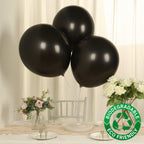 10 Pack Black Biodegradable Balloons, 18" Thickened Extra Strong Eco - friendly Latex Helium Party Balloons - Bell Racket Store