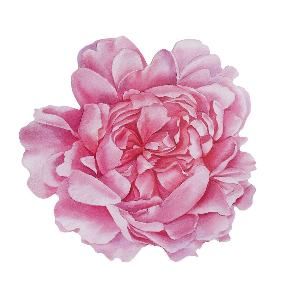 10 - Pack Disposable Table Placemats with Pink Peony Flower Print - 400GSM Floral Cardboard Placemats for Dinner Parties & Gatherings 14" - Bell Racket Store