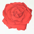 10 - Pack Disposable Table Placemats with Red Rose Flower Design - 400GSM Floral Cardboard Placemats for Romantic Themes & Garden Parties 14" - Bell Racket Store