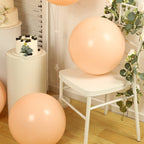 10 Pack Matte Pastel Blush Biodegradable Balloons 18", Round Eco - friendly Thick Latex Party Balloons - Bell Racket Store