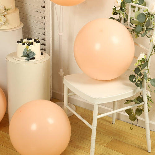 10 Pack Matte Pastel Blush Biodegradable Balloons 18", Round Eco - friendly Thick Latex Party Balloons - Bell Racket Store