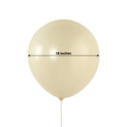 10 Pack Matte Pastel Cream Biodegradable Balloons 18", Round Eco - friendly Thick Latex Party Balloons - Bell Racket Store