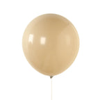 10 Pack Matte Pastel Taupe Biodegradable Balloons 18", Round Eco - friendly Thick Latex Party Balloons - Bell Racket Store
