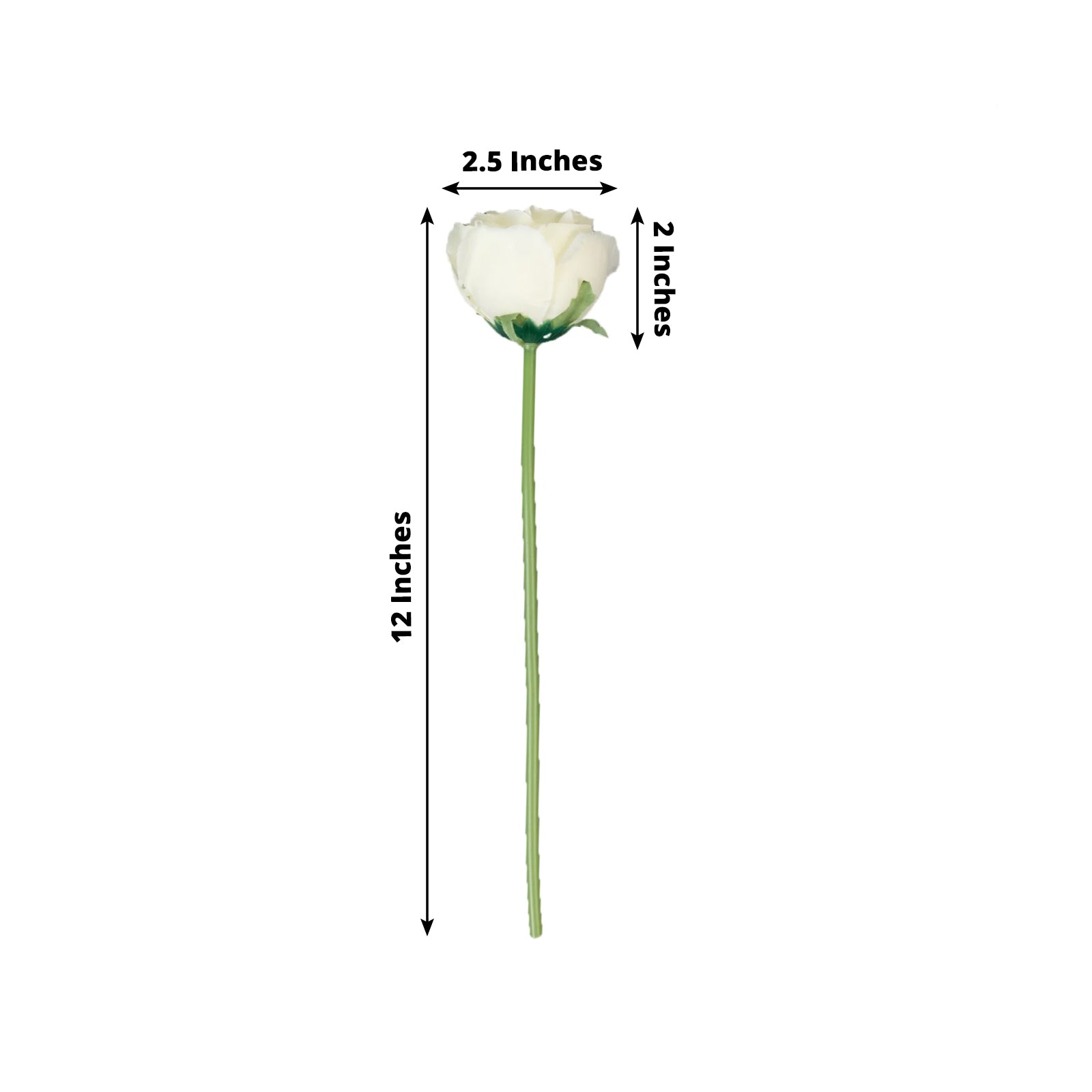 10 Pcs 12" Artificial Silk Roses - Ivory, Single Stem Rose for Flower Bouquet Arrangements - Bell Racket Store