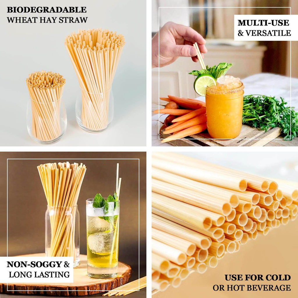 100 - Pack Compostable Straws Plant Based 100% Plastic Free - Biodegradable Wheat Straws for Drinks 6" - Bell Racket Store