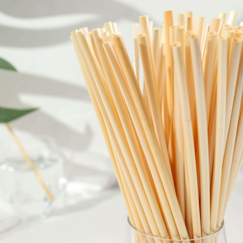 100 - Pack Compostable Straws Plant Based 100% Plastic Free - Sustainable Biodegradable Wheat Straws 9" - Bell Racket Store