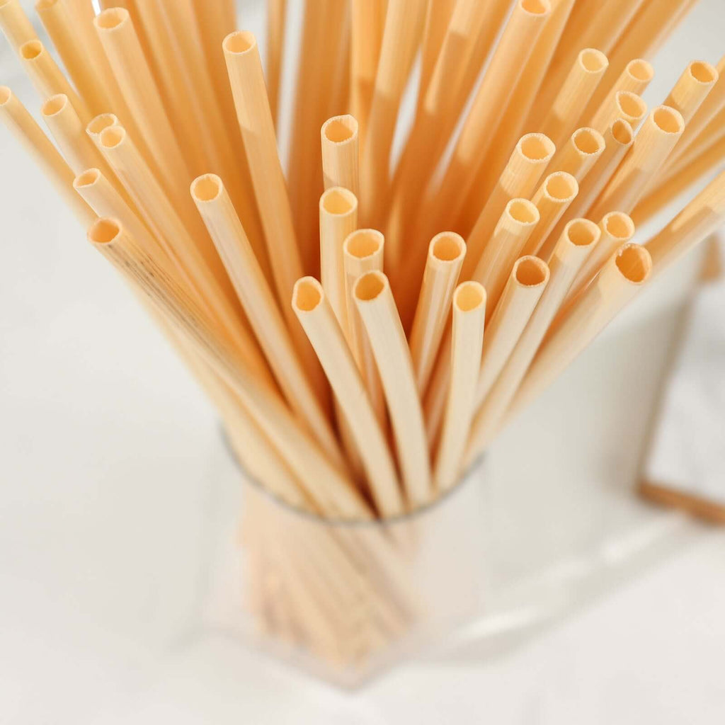 100 - Pack Compostable Straws Plant Based 100% Plastic Free - Sustainable Biodegradable Wheat Straws 9" - Bell Racket Store