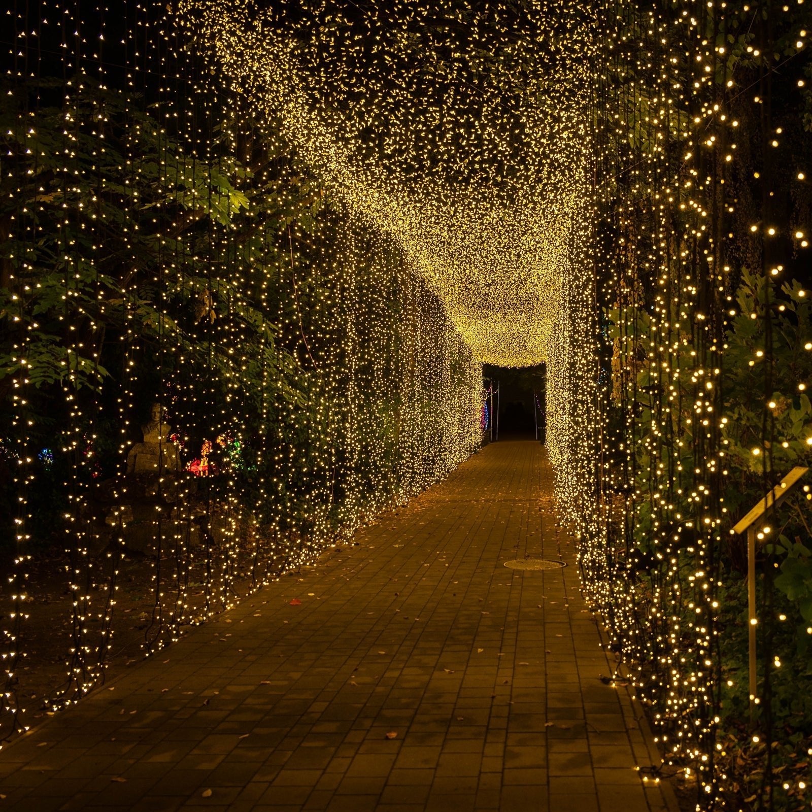 10ftx30ft LED Curtain String Lights, 8 Modes Warm White 900 LED Plug - in Waterproof Fairy Lights for Indoor Outdoor Backdrop - Bell Racket Store