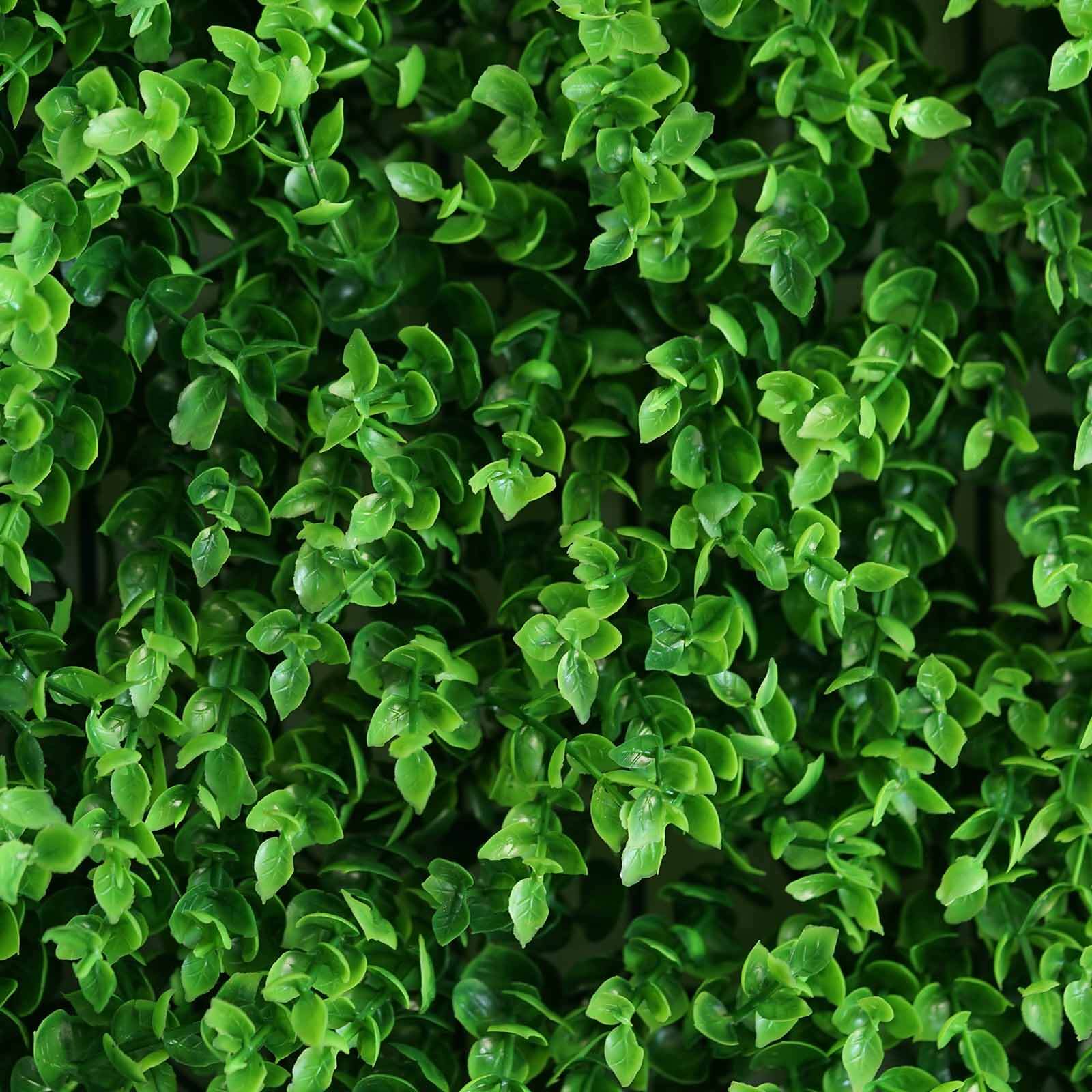 11 Sq ft. Artificial Baby Green Boxwood Hedge Garden Wall Backdrop Mat - 4 Panels - Bell Racket Store