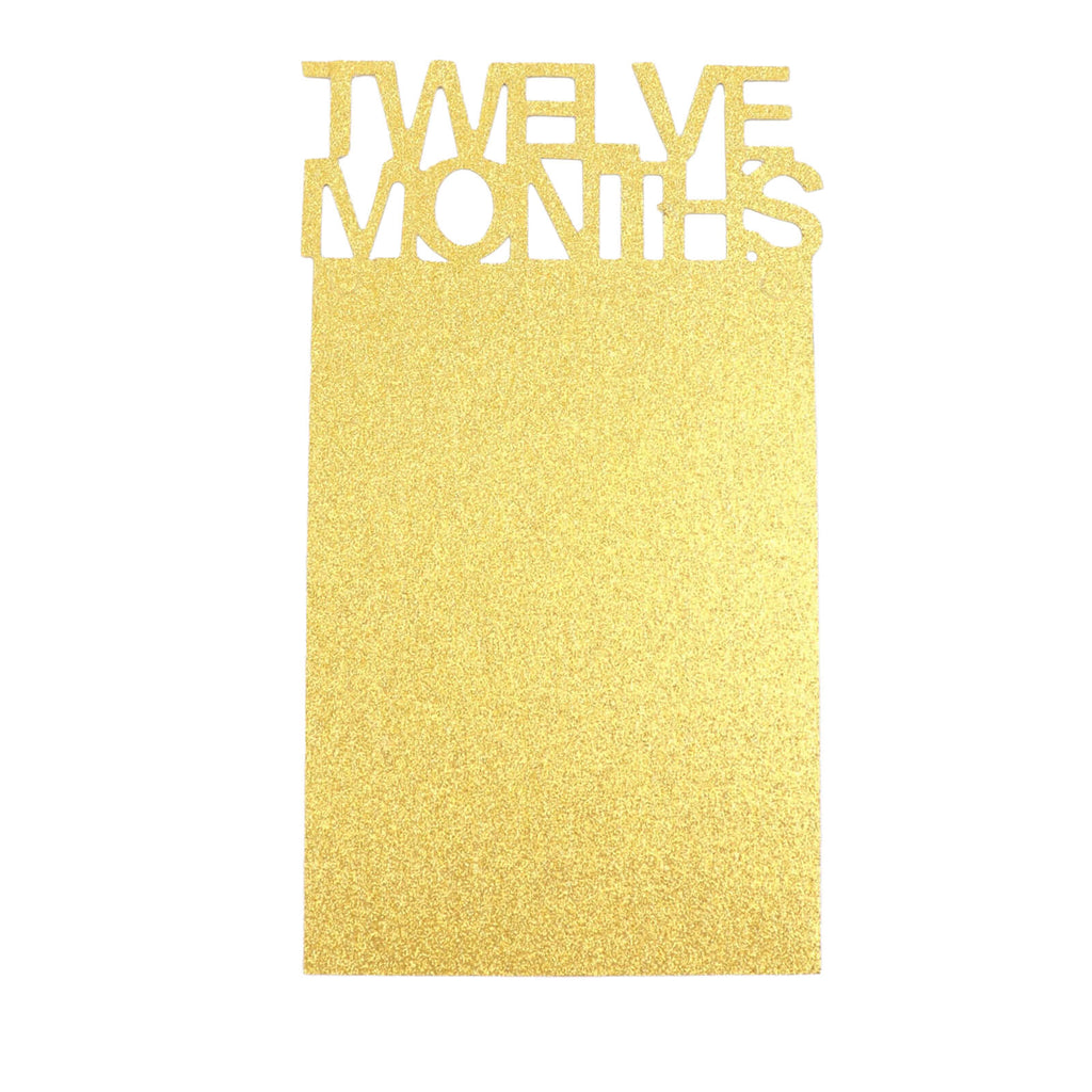 12 Month Milestone 1st Birthday Party Photo Backdrop Hanging Banner, Baby Photo Garland Banner - 5.5ft - Bell Racket Store