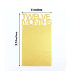 12 Month Milestone 1st Birthday Party Photo Backdrop Hanging Banner, Baby Photo Garland Banner - 5.5ft - Bell Racket Store