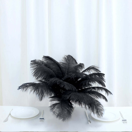 12 Pack 13" - 15" Black Natural Plume Real Ostrich Feathers, DIY Centerpiece Fillers - NestOCart