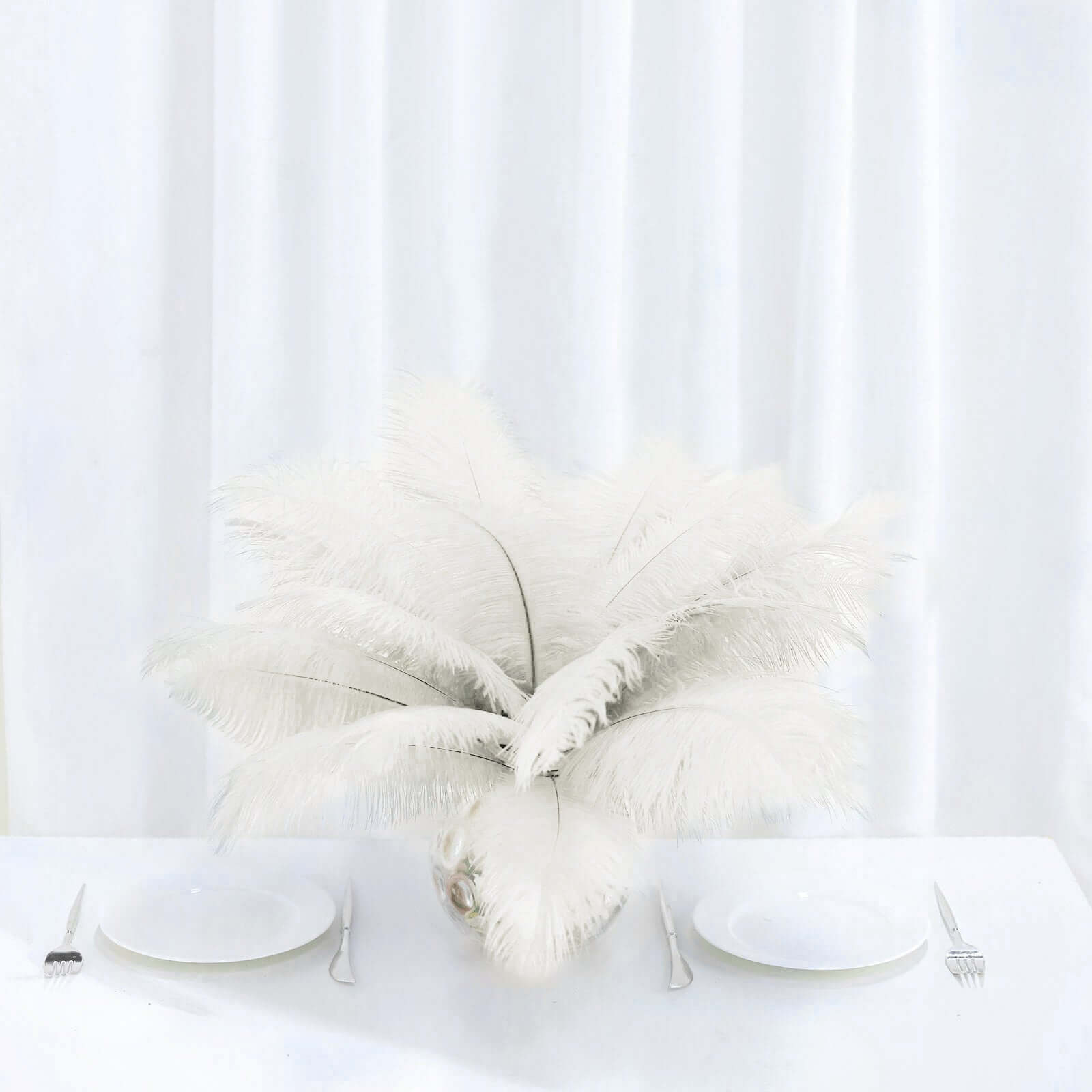 12 Pack 13" - 15" Ivory Natural Plume Real Ostrich Feathers, DIY Centerpiece Fillers - NestOCart