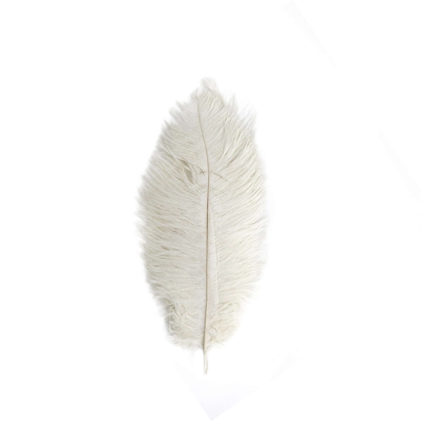 12 Pack 13" - 15" Ivory Natural Plume Real Ostrich Feathers, DIY Centerpiece Fillers - NestOCart