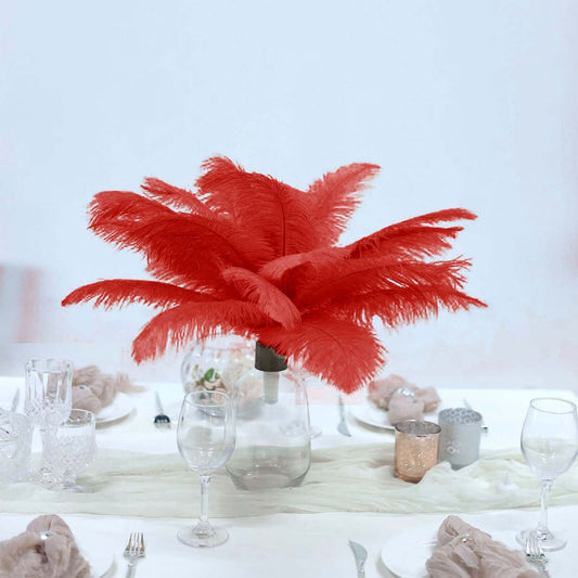 12 Pack 13" - 15" Red Natural Plume Real Ostrich Feathers, DIY Centerpiece Fillers - NestOCart