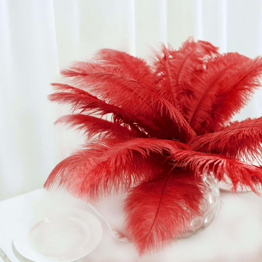 12 Pack 13" - 15" Red Natural Plume Real Ostrich Feathers, DIY Centerpiece Fillers - NestOCart