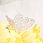 12 - Pack 3D Butterfly Wall Decals, DIY Removable Mural Stickers White Cake Decorations Eye - Catching Design - Bell Racket Store