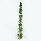 12 Pack 6.5ft Artificial Ivy Leaf Garland - Silk Hanging Vines for Wedding, Party, Garden and Wall Decor - Bell Racket Store