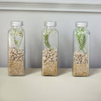 12 - Pack Glass Jars French Square Design Clear with Aluminum Caps - Refillable Storage Bottles for Pantry & Organization 7" 12oz - Bell Racket Store