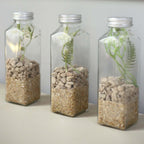 12 - Pack Glass Jars French Square Design Clear with Aluminum Caps - Refillable Storage Bottles for Pantry & Organization 7" 12oz - Bell Racket Store