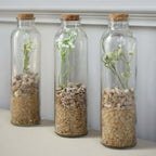 12 - Pack Glass Storage Jars Round Design Clear with Cork Stoppers - Refillable Bottles for Kitchen & Organization 9" 16oz - Bell Racket Store