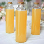 12 - Pack Glass Storage Jars Round Design Clear with Cork Stoppers - Refillable Bottles for Kitchen & Organization 9" 16oz - Bell Racket Store