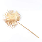 2 - Pack Artificial Palm Leaf Stems Metallic Gold - Glam Tropical Faux Plant Vase Filler Floral Backdrop Table Decor 34" - Bell Racket Store