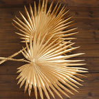 2 - Pack Artificial Palm Leaf Stems Metallic Gold - Glam Tropical Faux Plant Vase Filler Floral Backdrop Table Decor 34" - Bell Racket Store