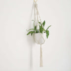 2 - Pack Hanging Planter Baskets with Tassels Ivory Boho Design - Cotton Rope Indoor Decorative Flower Holders - Bell Racket Store