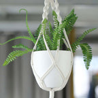 2 - Pack Planter Pots Indoor Macrame Holder Design White - Plastic Plant Pots 5.5" - Bell Racket Store