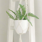 2 - Pack Planter Pots Indoor Macrame Holder Design White - Plastic Plant Pots 5.5" - Bell Racket Store