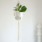 2 - Tier Hanging Planter Basket with Tassels Ivory Double Boho Design - Cotton Rope Indoor Decorative Holders - Bell Racket Store