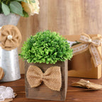 24 Pcs Natural Burlap Flower and Bows Set w Lace Ribbon Craft Supplies, DIY Jute Stick On Ribbon and Bows, 30 Sticker Dots Included, 8 Assorted Styles - Bell Racket Store