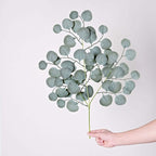 4 Pack 25" Frosted Green Artificial Silk Eucalyptus Leaf Branches - Bell Racket Store