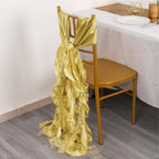 5 Pack Chiffon Satin Chair Sashes Champagne - Easy to Install Ruffled Curly Willow - Bell Racket Store