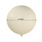 5 Pack Large Off White Biodegradable Balloons, 36" Thickened Extra Strong Eco - friendly Latex Helium Party Balloons - Bell Racket Store