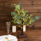 50 LED Lighted Artificial Tree Eucalyptus Plant Design Green Warm White - Battery Operated Table Accent 17" - Bell Racket Store