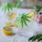 50 - Pack Bamboo Cocktail Picks Tropical Leaf Parasol Design Green - Eco Friendly Disposable Drink Stick 6" - Bell Racket Store