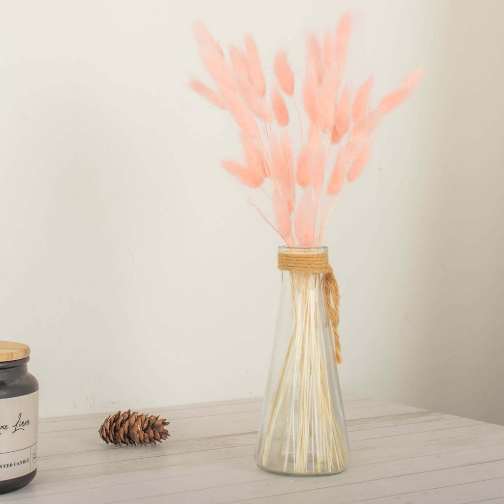 50 - Pack Dried Bunny Tail Grass Blush - Rustic Chic Lagurus Ovatus Rabbit Tail Ornamental Grass for Modern Farmhouse Decor Event Styling & Floral Displays 15" - Bell Racket Store