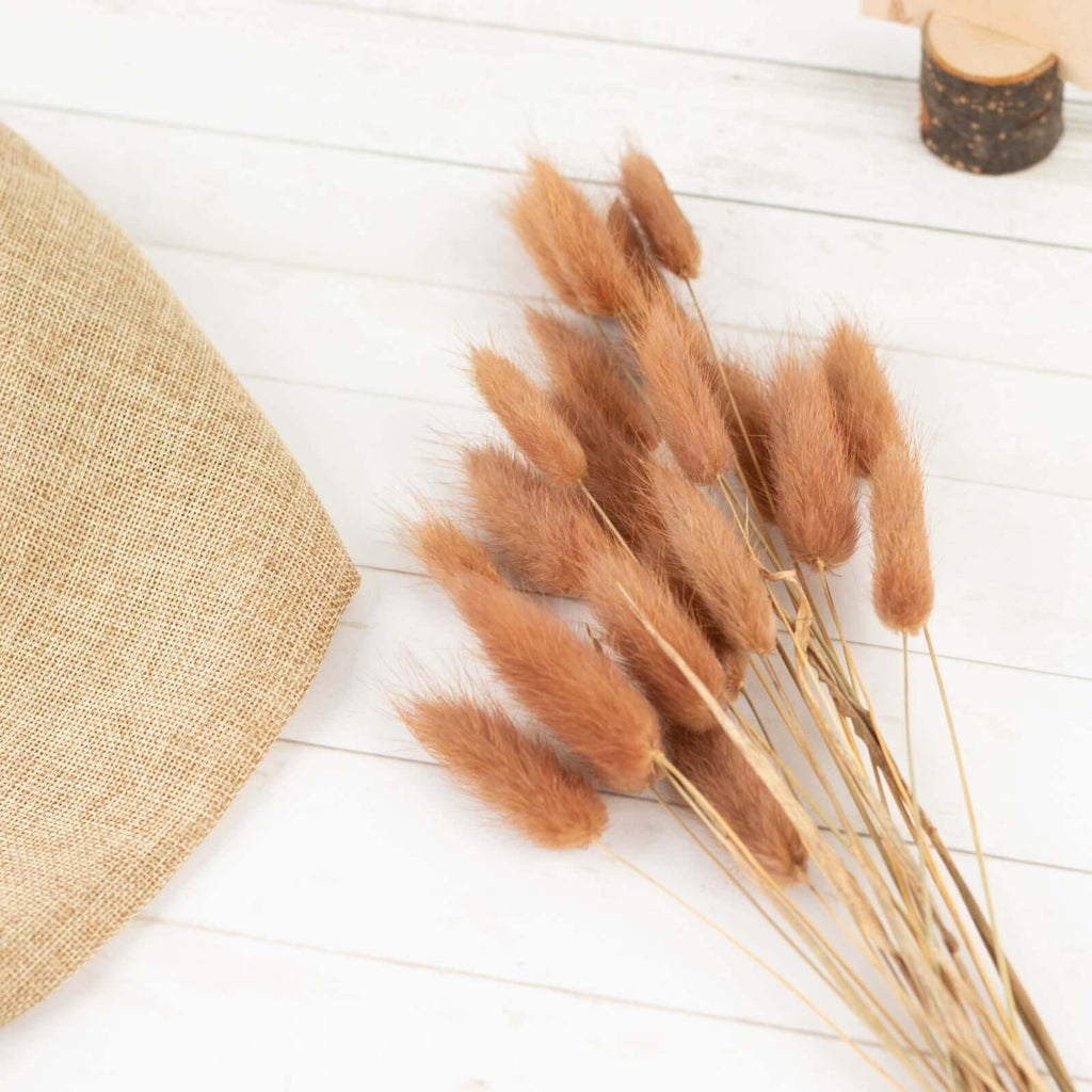 50 - Pack Dried Bunny Tail Grass Brown for Modern Farmhouse Decor Event Styling & Floral Displays 15" - Bell Racket Store