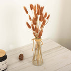 50 - Pack Dried Bunny Tail Grass Brown for Modern Farmhouse Decor Event Styling & Floral Displays 15" - Bell Racket Store