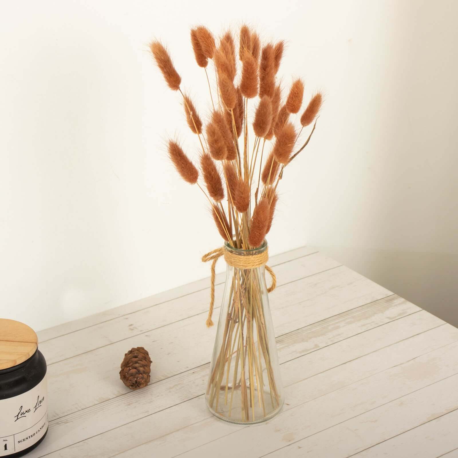 50 - Pack Dried Bunny Tail Grass Brown for Modern Farmhouse Decor Event Styling & Floral Displays 15" - Bell Racket Store