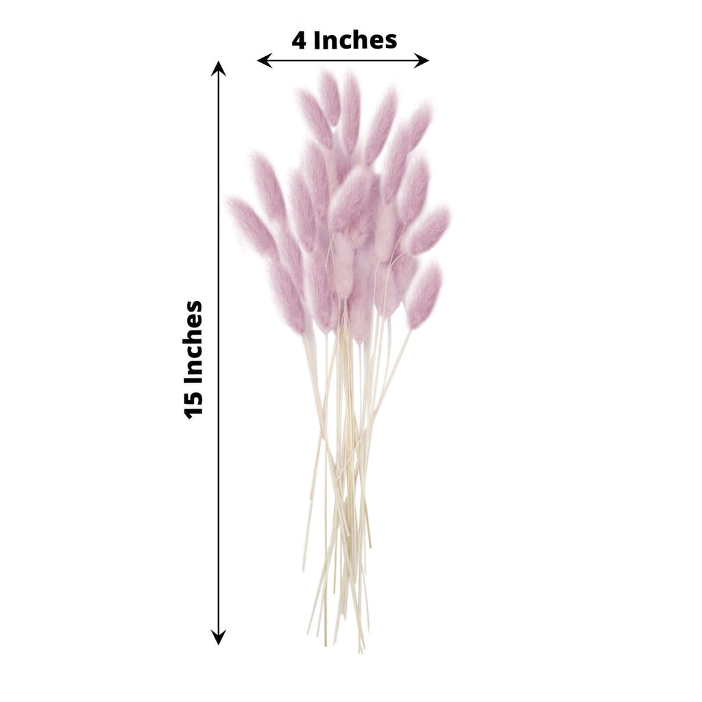 50 - Pack Dried Bunny Tail Grass Lavender Lilac - Rustic Chic Lagurus Ovatus Rabbit Tail Ornamental Grass for Modern Farmhouse Decor Event Styling & Floral Displays 15" - Bell Racket Store