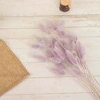 50 - Pack Dried Bunny Tail Grass Lavender Lilac - Rustic Chic Lagurus Ovatus Rabbit Tail Ornamental Grass for Modern Farmhouse Decor Event Styling & Floral Displays 15" - Bell Racket Store