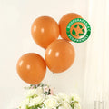 50 Pack Matte Pastel Caramel Biodegradable Balloons 12", Round Eco - friendly Thick Latex Party Balloons - Bell Racket Store