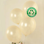 50 Pack Matte Pastel Cream Biodegradable Balloons 12", Round Eco - friendly Thick Latex Party Balloons - Bell Racket Store