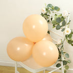 50 Pack Matte Pastel Peach Biodegradable Balloons 12", Round Eco - friendly Thick Latex Party Balloons - Bell Racket Store