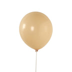 50 Pack Matte Pastel Peach Biodegradable Balloons 12", Round Eco - friendly Thick Latex Party Balloons - Bell Racket Store